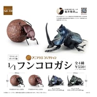【予約受付終了】【4個入りパック】アニマリエコレクション 1/1 フンコロガシ《予約：2022年7月下旬発送予定》