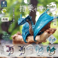 【予約受付終了】指乗せドラゴン (再販)【1BOX／4個入】《予約：2023年11月下旬発送予定》