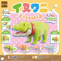 【予約受付終了】イヌワニ【1BOX／4個入】《予約：2023年8月下旬発送予定》